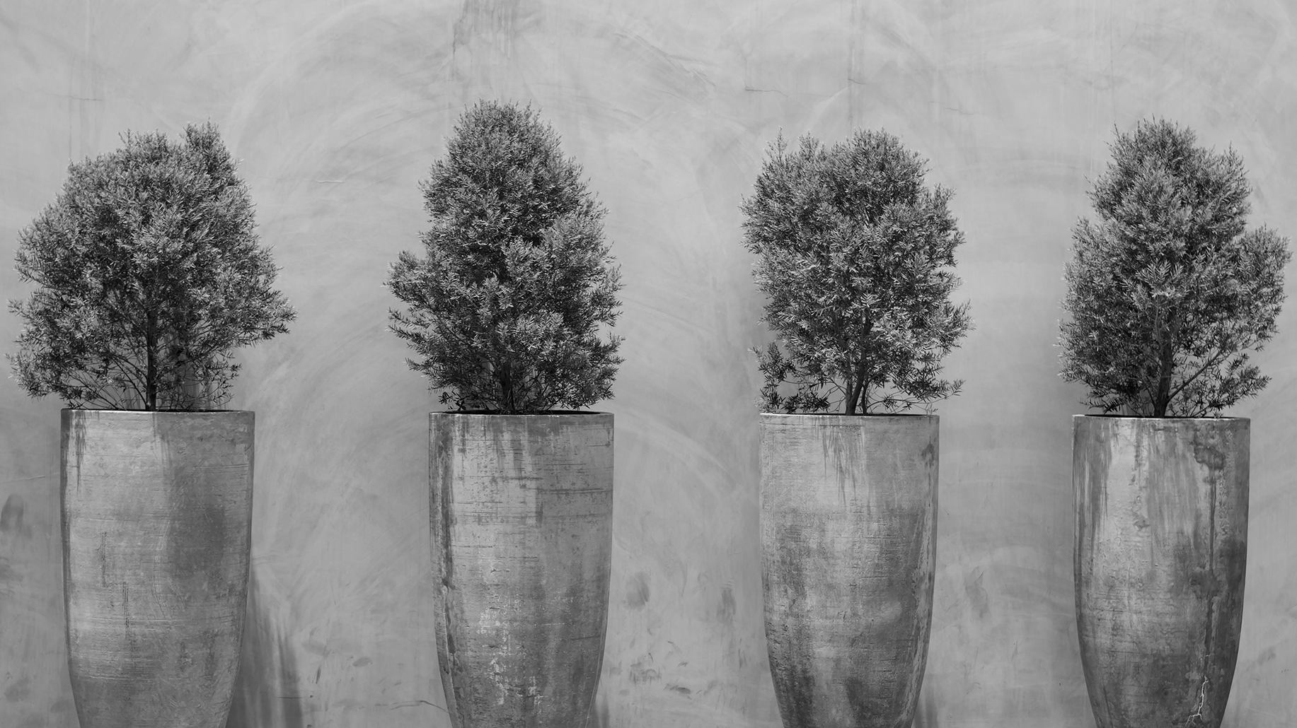 Do-creation - logo - Décortik