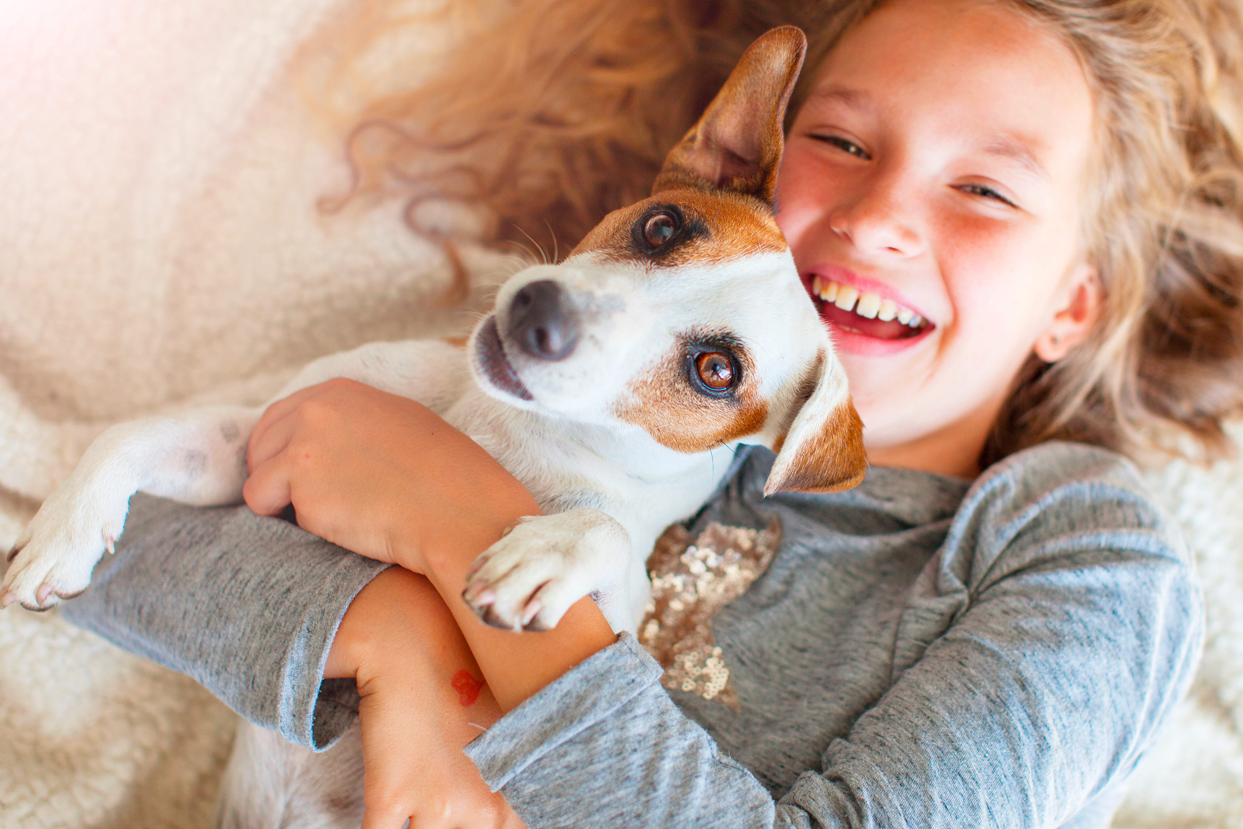 ID Pattes - Accompagnement - Consulting - Coaching - Communication