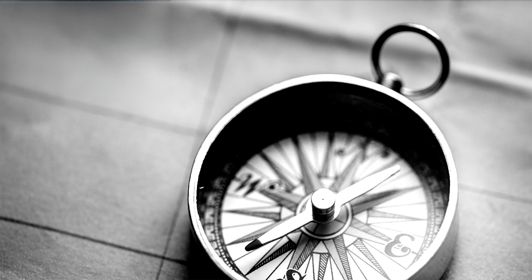 Pekapeka - Consulting - Coaching - Site web - Décortik